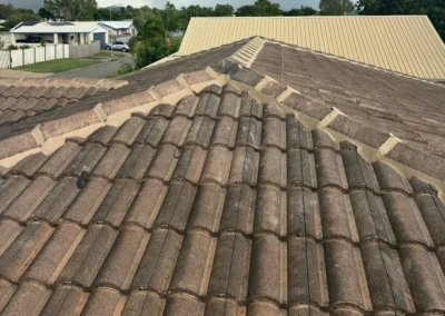 Tile roof cleaning - before