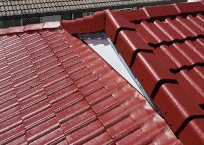 Tile roof painting Townsville