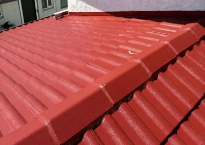 Tile roof painting Townsville